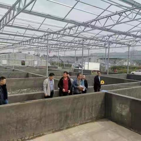 农业农村局10月10日工作动态