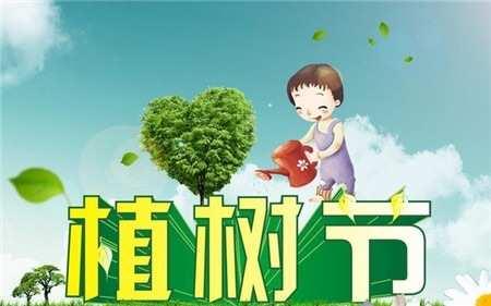 久兴幼儿园小一班———我和小树一起成长