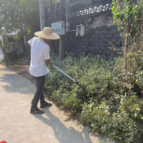 镇中社区开展人居环境整治活动