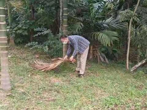 镇中社区开展以“四清三整三提升”为主题的爱国卫生运动暨人居环境整治活动