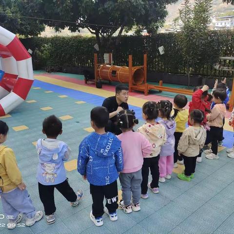 今日体智能活动—《神秘的树洞》