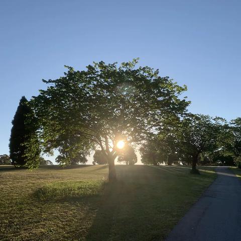 写在高考发榜前夜