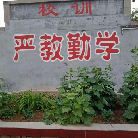 秋去冬来寒，轮教交流暖