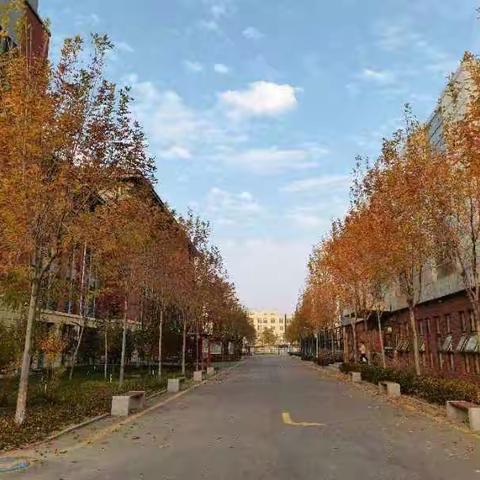 “宅”家“网”学---银川市十三中七年级4班那些居家的日子