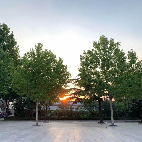 走进校园，妙笔生花—一节真实而生动的观察作文课堂（工作成长记录簿3）