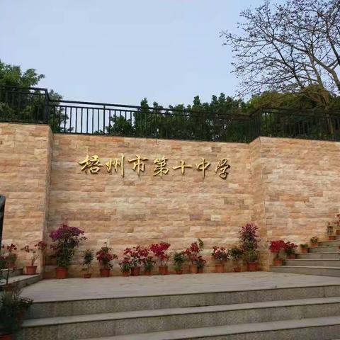 系龙日初升，启航正前行——梧州市第十中学简介