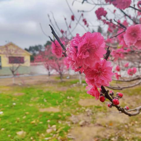 “创文明校园  展巾帼风采”----三里二中三八·妇女节活动