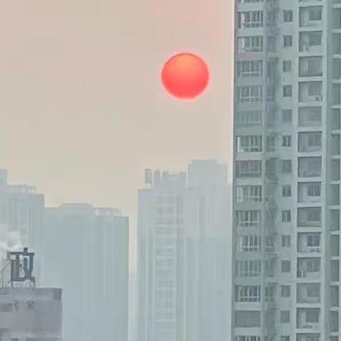 今年元旦这样过……