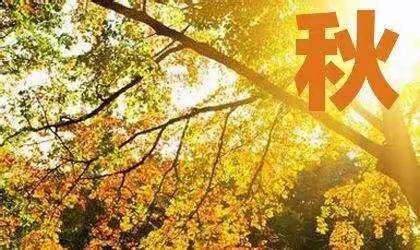 感受秋天，磨练意志——淅川一小一十三班远足活动纪实