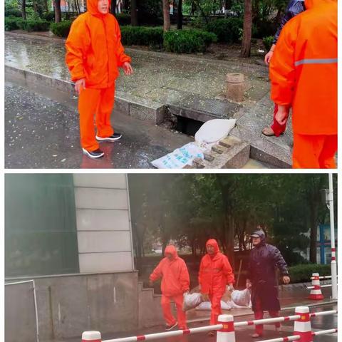 台风“烟花”掀风雨  党员群众忙排险