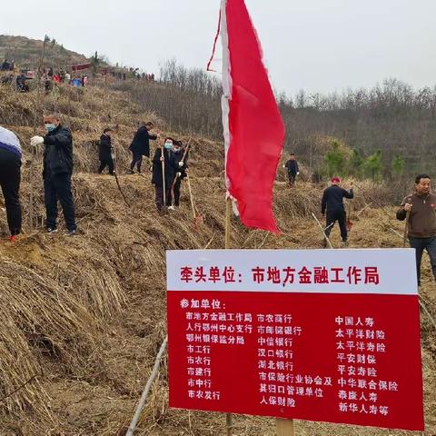 鄂州分行组织青年志愿者参与义务植树活动