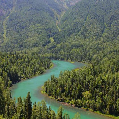 新疆最美的湖泊--喀纳斯湖游记--南北疆大环线之三