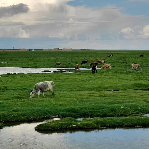 高山上的世外桃源--巴音布鲁克草原游记--南北疆大环线之七