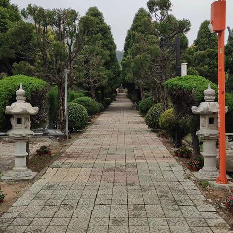 清明时节倍思亲