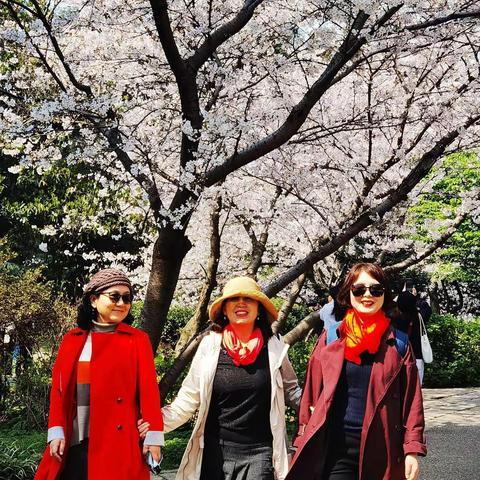 烟花三月江南游