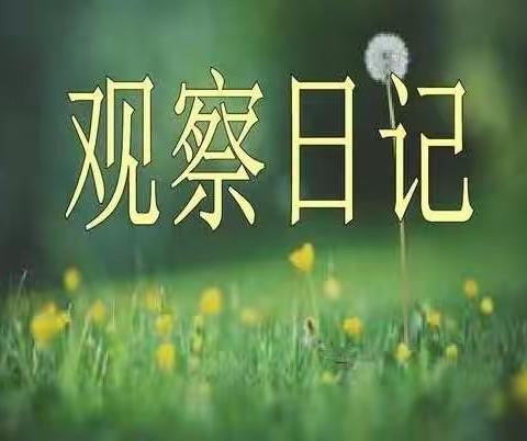 观察日记  四上三单元学生习作