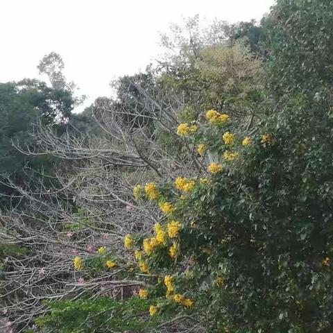 温馨“团”建，遇“建”美好―—柏塘中心小学一年级数学团建活动