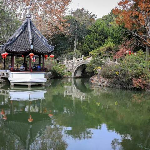 捕捉秋景-魔都园林醉白池