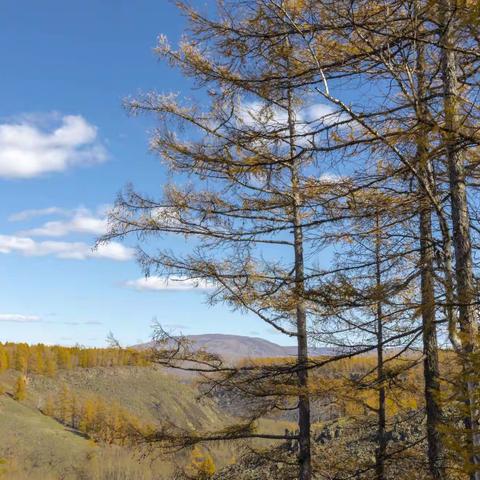 游摄草原-呼伦贝尔草原 阿尔山 满洲里 室韦 黑山头 莫尔道嘎 根河 海拉尔