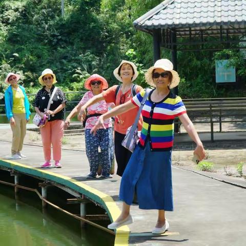 走进美的鹭湖度假区，感受“小法国”的优雅风情