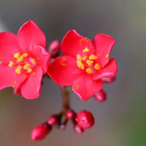 岱海耕翁（白洁）2023年元月1日——6月1日散曲作品