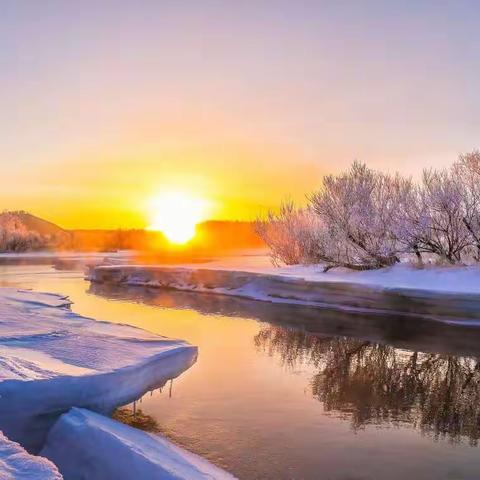 岱海耕翁（白洁）一组近作