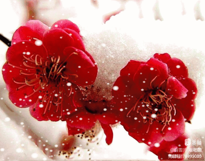 （17）巴黎文学总社·大西北诗社诗词选编