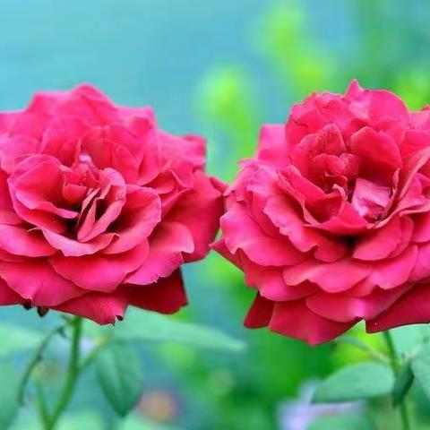 （16）巴黎文学总社·大西北诗社诗词曲选编