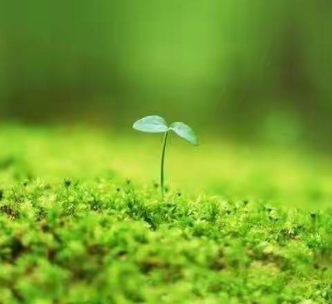 停课不停学，居家学习也精彩       ——茂南一小二年级学生线上学习