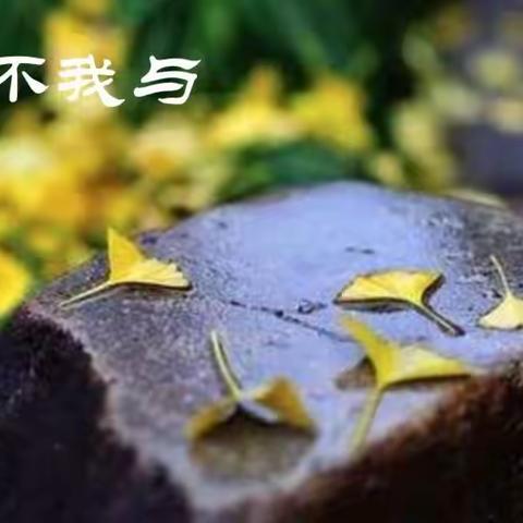 岁不我与【猜字诗】
