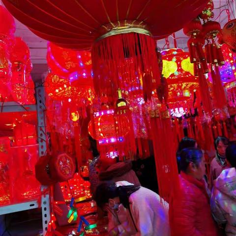 杨泽辰的虎年主题寒假作业