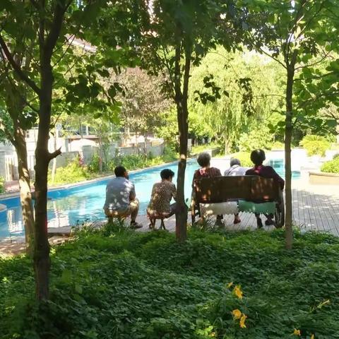 种花植绿🌿美化环境