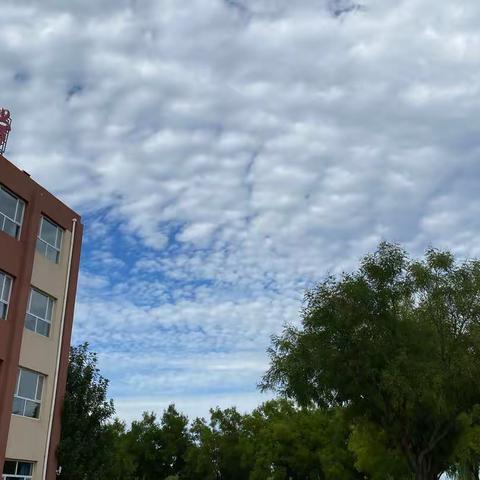 【大厂县】练好基本功，做学生楷模——记廊坊市小学英语教学技能大赛