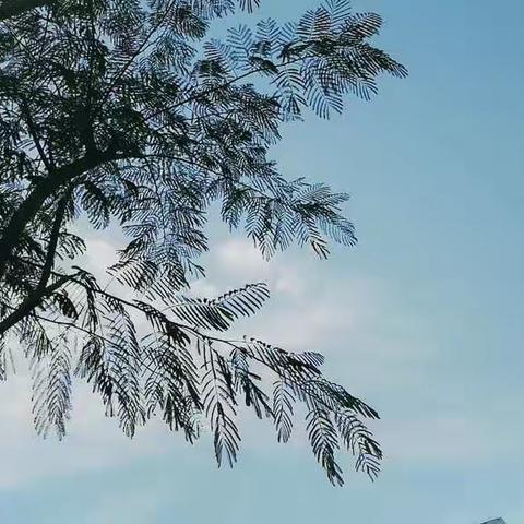 六月冲刺，备战高考