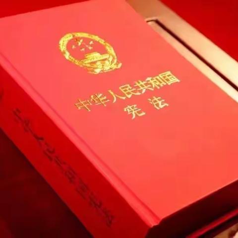 【全环境立德树人】与法同行  快乐成长——聊城第九中学小学部学习宪法在行动