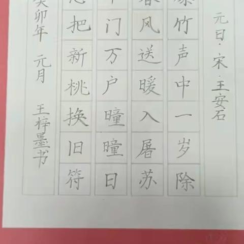 安阳市钢三路小学    三六中队同庆元旦