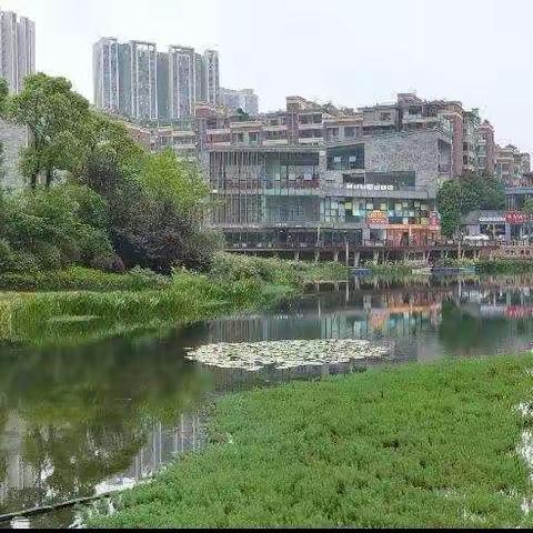 保利八组团周边公园环境