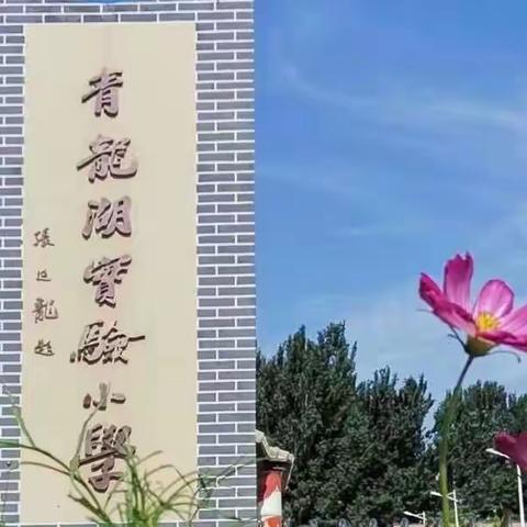 停课不停学，成长不延期—青龙湖实验小学第三次网课研讨会