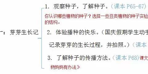 实小本部194班综合实践活动《植物王国》之研究主题一“芽芽生长记”精彩呈现