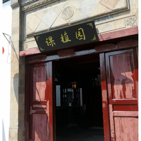上海朱家角课植园——摄于2022年9月