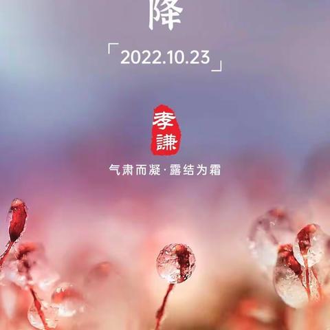 孝谦周六至善一班