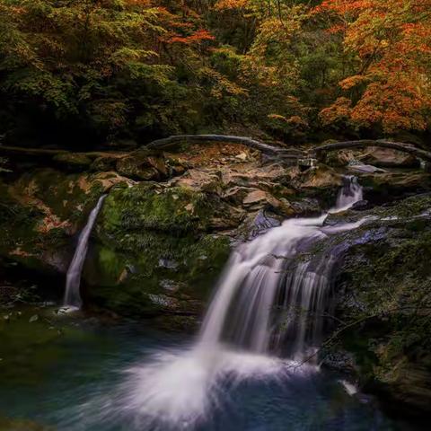 陕西岚皋：金秋别样美