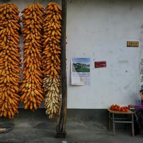 陕西宁陕：别样的秋