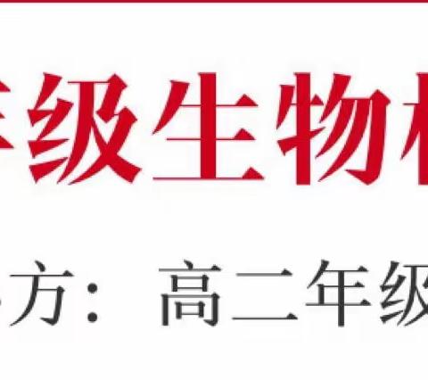 感受秋叶的魅力———生物标本制作大赛
