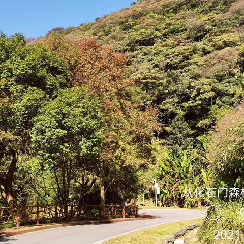 从化石门森林公园随拍