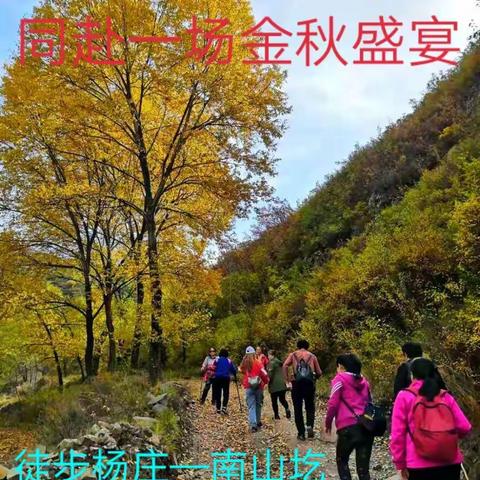 同赴一场金秋盛宴(徒步杨庄、南山圪垛大凹寨2019.10.20)