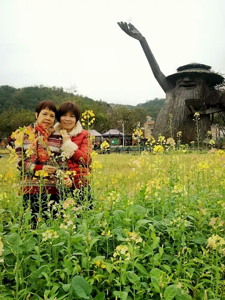 2024年3月3日打卡行摄于花都梯面镇红山村油菜花
