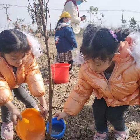 栽种绿意，守护美好