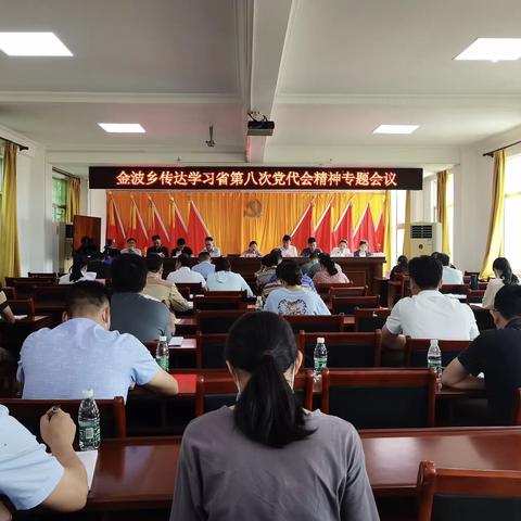 以高质量工作推动党代会部署落细落实|金波乡召开传达学习省第八次党代会精神专题会议