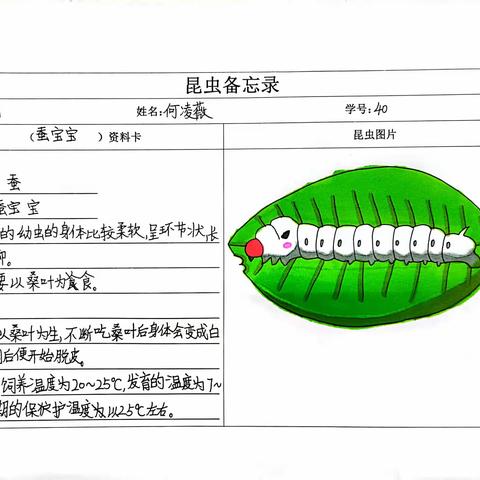 我们的昆虫备忘录